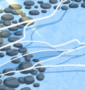 十二星座的表面幸福