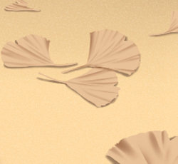 十二星座的快乐秘籍