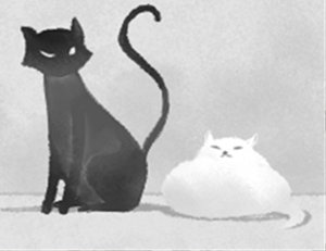 12星座男如何藏私房钱