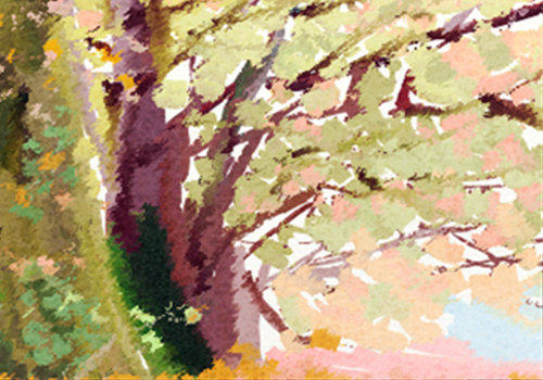 十二星座女生不应该做的傻事