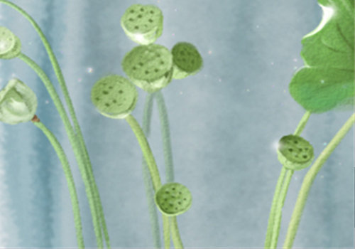 巨蟹座与12星座有什么共同点