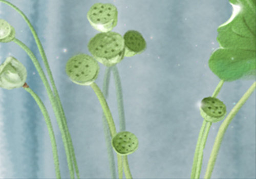 天蝎座与十二星座有什么共同点