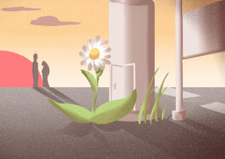 12星座爱情空窗期会做什么？