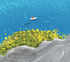 哪个星座的恋爱机会多