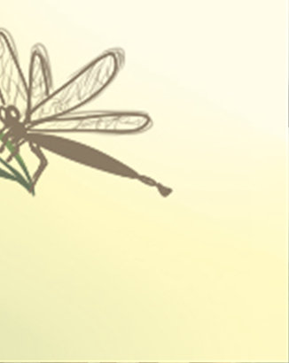 你会与多少个男人纠缠不清