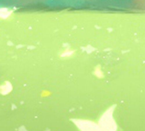 最经不起平淡爱情的星座