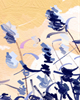 【中秋节美食】中秋节吃什么？