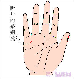 解读你手相中的婚姻线