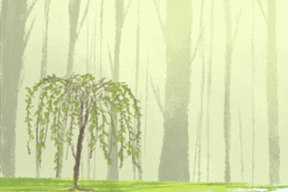 十二星座的宿命情人