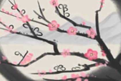 丙子年