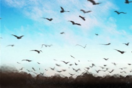 测试你会因为什么爱情而感到虐心