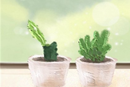 哪些星座女集清纯豪放于一身