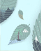 搞笑测试：测测你的反应能力
