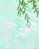 桃花岛在什么地方，你想去吗