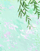 祝福语大全：关于白露节气祝福短信