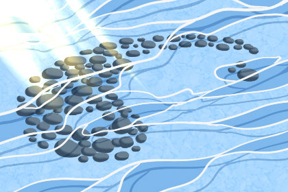 不一定有结果的绝对痴心星座