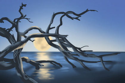 这些星座男容易被妹子喜欢