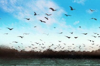 2015年6月塞穴黄道吉日