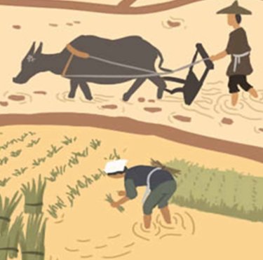 摩羯座