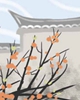 小满是第几个节气？