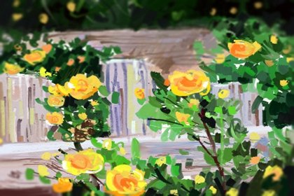 喜欢摩羯座的十五个理由