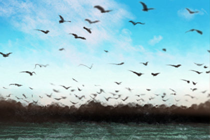 书香入夜梦清欢，十二星座专属枕边书