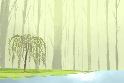 2016年十月适合纳采的黄道吉日查询