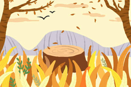 日本新年是哪一天？和其他国家一样吗