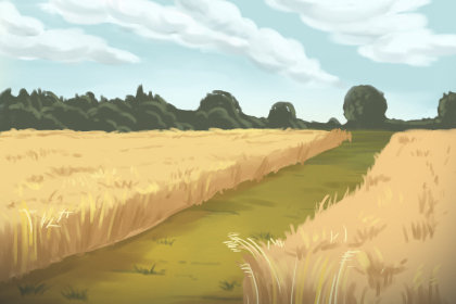 2017年五行是什么年：丁酉鸡年