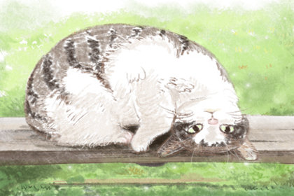 昆明