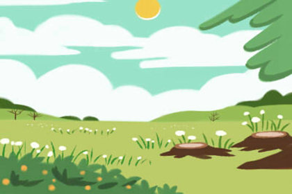 2017年属猪的人幸运色和幸运数字