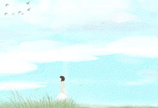 泼水节