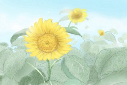 初秋养生保健注意“三防”