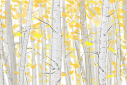 2017年八月适合谢土的黄道吉日查询