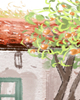 星座知识：1月16日生日书