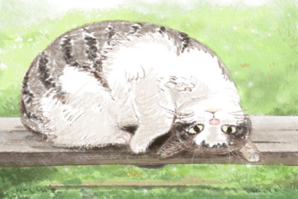 十二星座室内如何摆放植物让婚姻越来越好