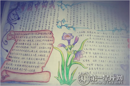 手抄报图片
