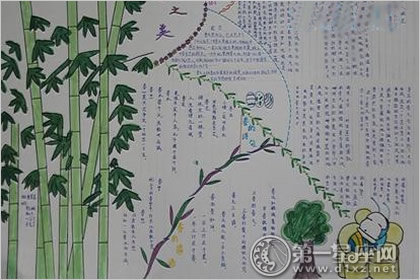 手抄报图片