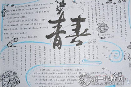 手抄报图片