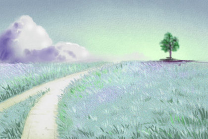 南瓜节图片大全，南瓜节图片集锦