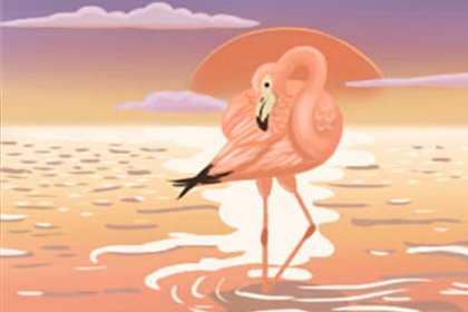 属虎