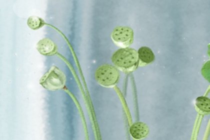 甜蜜软糯，冬至圆的制作方法