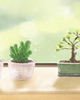 大师说：水星逆行的意义对个人的影响