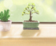 https://p.yixz.net/2016/6/17/2.jpg