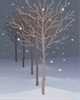 大雪山幸福彝族拉祜族傣族镇简介