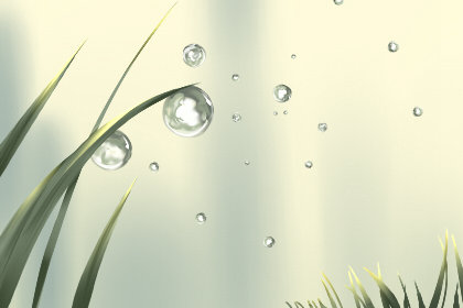 两种雨水节气美食，新鲜又养生