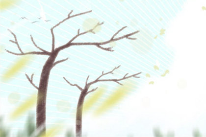 测你恋爱后能得到哪方面的提升？