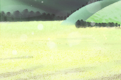 夏至结婚好吗，2017年夏至结婚好吗