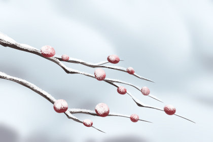 消费者权益日手抄报26