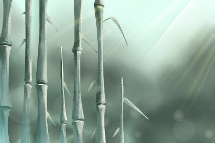 这些星座女非常在意自己的外貌